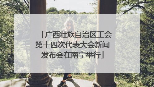 广西壮族自治区工会第十四次代表大会新闻发布会在南宁举行