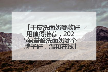 干皮洗面奶哪款好用值得推荐，2025氨基酸洗面奶哪个牌子好，温和在线