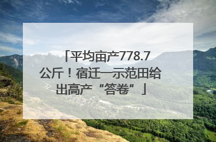 平均亩产778.7公斤！宿迁一示范田给出高产“答卷”