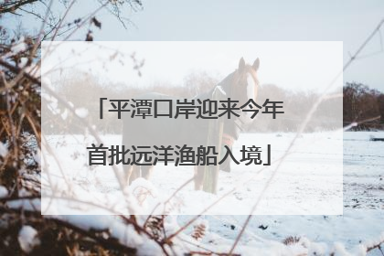 平潭口岸迎来今年首批远洋渔船入境