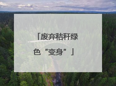 废弃秸秆绿色“变身”