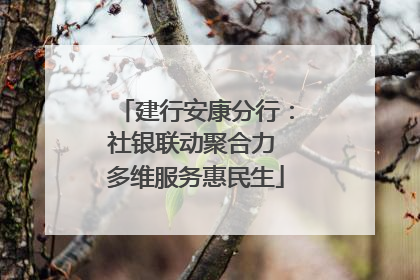 建行安康分行：社银联动聚合力 多维服务惠民生