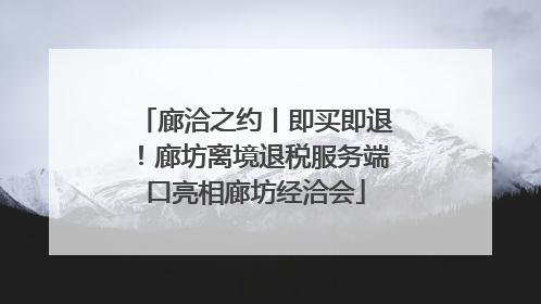 廊洽之约丨即买即退！廊坊离境退税服务端口亮相廊坊经洽会