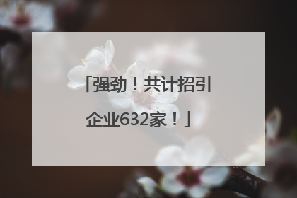 强劲！共计招引企业632家！