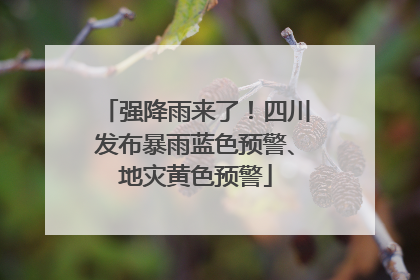 强降雨来了！四川发布暴雨蓝色预警、地灾黄色预警