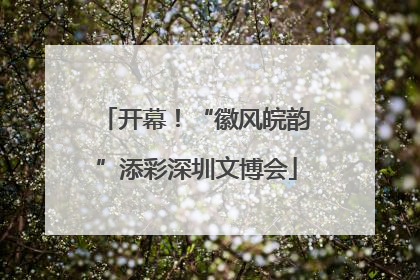 开幕！“徽风皖韵”添彩深圳文博会