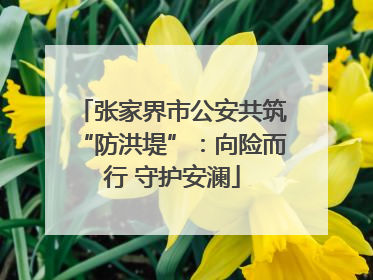 张家界市公安共筑“防洪堤”：向险而行 守护安澜