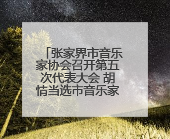 张家界市音乐家协会召开第五次代表大会 胡情当选市音乐家协会主席