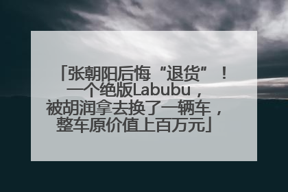 张朝阳后悔“退货”！一个绝版Labubu，被胡润拿去换了一辆车，整车原价值上百万元