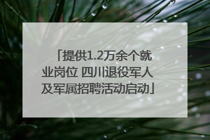 提供1.2万余个就业岗位 四川退役军人及军属招聘活动启动