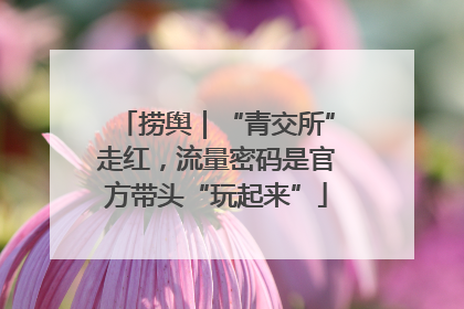 捞舆｜“青交所”走红，流量密码是官方带头“玩起来”