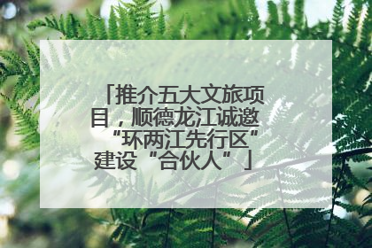 推介五大文旅项目，顺德龙江诚邀“环两江先行区”建设“合伙人”