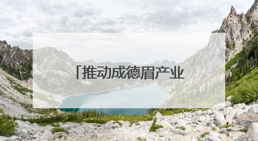 推动成德眉产业协同发展 成都高新区优质企业走进德阳和眉山
