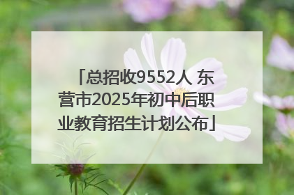 总招收9552人 东营市2025年初中后职业教育招生计划公布