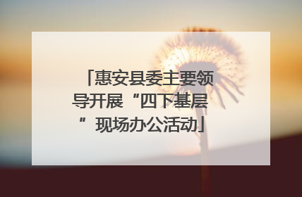 惠安县委主要领导开展“四下基层”现场办公活动