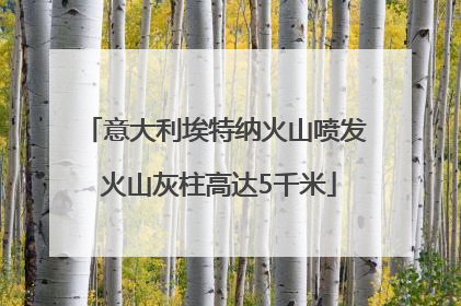 意大利埃特纳火山喷发 火山灰柱高达5千米