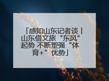 感知山东记者谈丨山东借文旅“东风”起势 不断塑强“体育+”优势