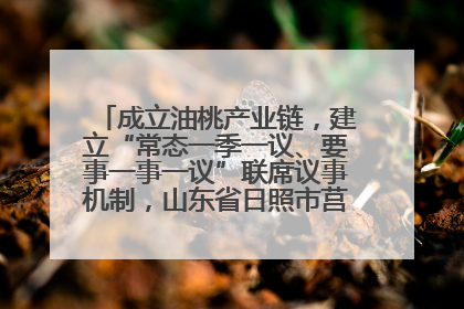 成立油桃产业链，建立“常态一季一议、要事一事一议”联席议事机制，山东省日照市莒县果庄镇——13个党小组“全周期”育果