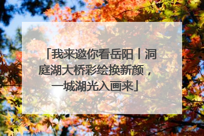 我来邀你看岳阳丨洞庭湖大桥彩绘换新颜，一城湖光入画来