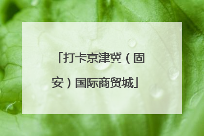 打卡京津冀（固安）国际商贸城