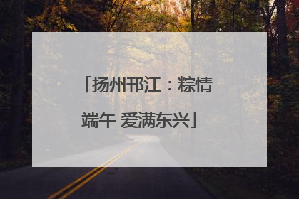 扬州邗江：粽情端午 爱满东兴