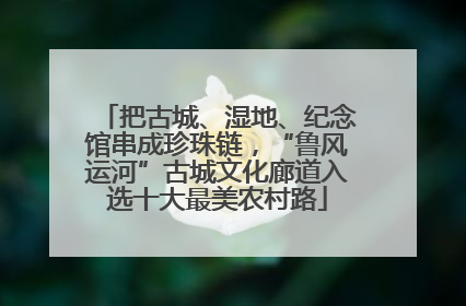把古城、湿地、纪念馆串成珍珠链，“鲁风运河”古城文化廊道入选十大最美农村路