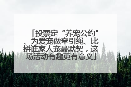 投票定“养宠公约”、为爱宠做牵引绳、比拼谁家人宠最默契，这场活动有趣更有意义