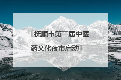 抚顺市第二届中医药文化夜市启动
