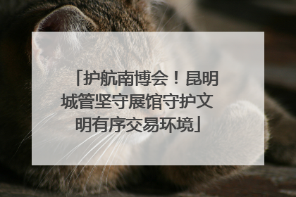 护航南博会！昆明城管坚守展馆守护文明有序交易环境