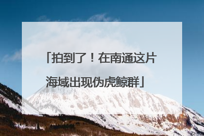 拍到了！在南通这片海域出现伪虎鲸群