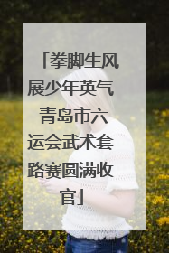 拳脚生风展少年英气 青岛市六运会武术套路赛圆满收官