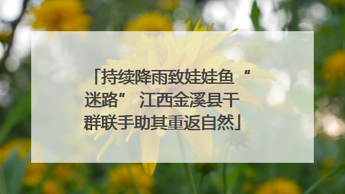 持续降雨致娃娃鱼“迷路” 江西金溪县干群联手助其重返自然