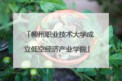 柳州职业技术大学成立低空经济产业学院
