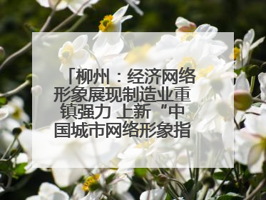 柳州：经济网络形象展现制造业重镇强力 上新“中国城市网络形象指数”报告