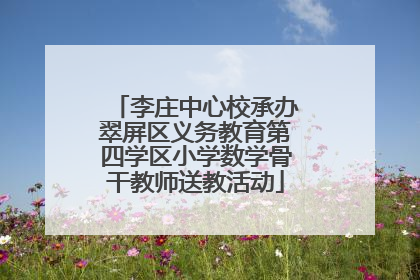 李庄中心校承办翠屏区义务教育第四学区小学数学骨干教师送教活动