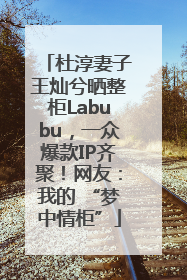 杜淳妻子王灿兮晒整柜Labubu，一众爆款IP齐聚！网友：我的 “梦中情柜”