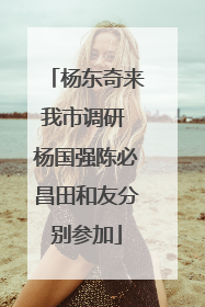 杨东奇来我市调研 杨国强陈必昌田和友分别参加