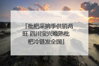 枇杷采摘季供销两旺 四川宝兴晚熟枇杷冷链发全国