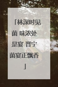 林深时见菌 味浓处是宴 晋宁菌宴正飘香
