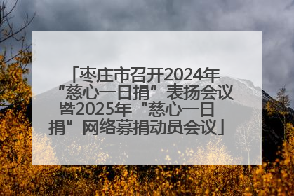 枣庄市召开2024年“慈心一日捐”表扬会议暨2025年“慈心一日捐”网络募捐动员会议