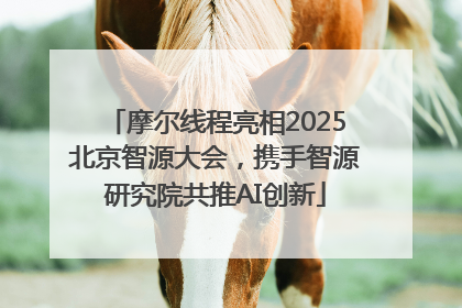 摩尔线程亮相2025北京智源大会，携手智源研究院共推AI创新