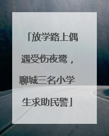 放学路上偶遇受伤夜鹭，聊城三名小学生求助民警