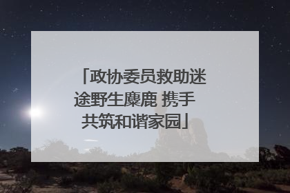 政协委员救助迷途野生麋鹿 携手共筑和谐家园