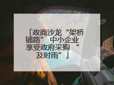 政商沙龙“架桥铺路” 中小企业享受政府采购 “及时雨”