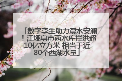 数字孪生助力澧水安澜！江垭皂市两水库拦洪超10亿立方米 相当于近80个西湖水量