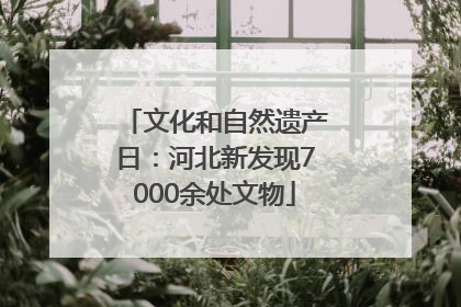 文化和自然遗产日：河北新发现7000余处文物