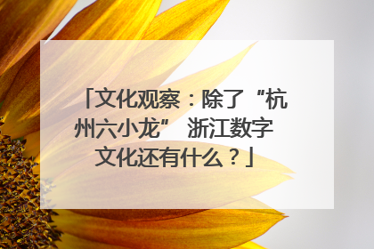 文化观察：除了“杭州六小龙” 浙江数字文化还有什么？