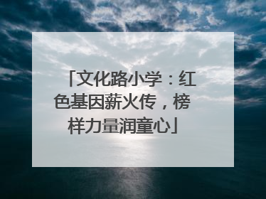文化路小学：红色基因薪火传，榜样力量润童心