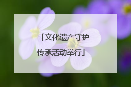 文化遗产守护传承活动举行
