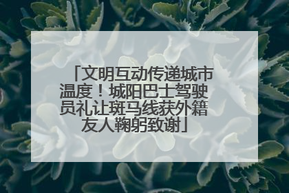 文明互动传递城市温度！城阳巴士驾驶员礼让斑马线获外籍友人鞠躬致谢